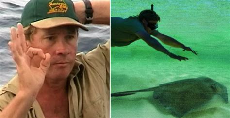 Sep 6, 2022 ... Steve Irwin's death was caught on camera. The zookeeper's biographer Tommy Donovan once said that Steve told his camera crew to “always be ...